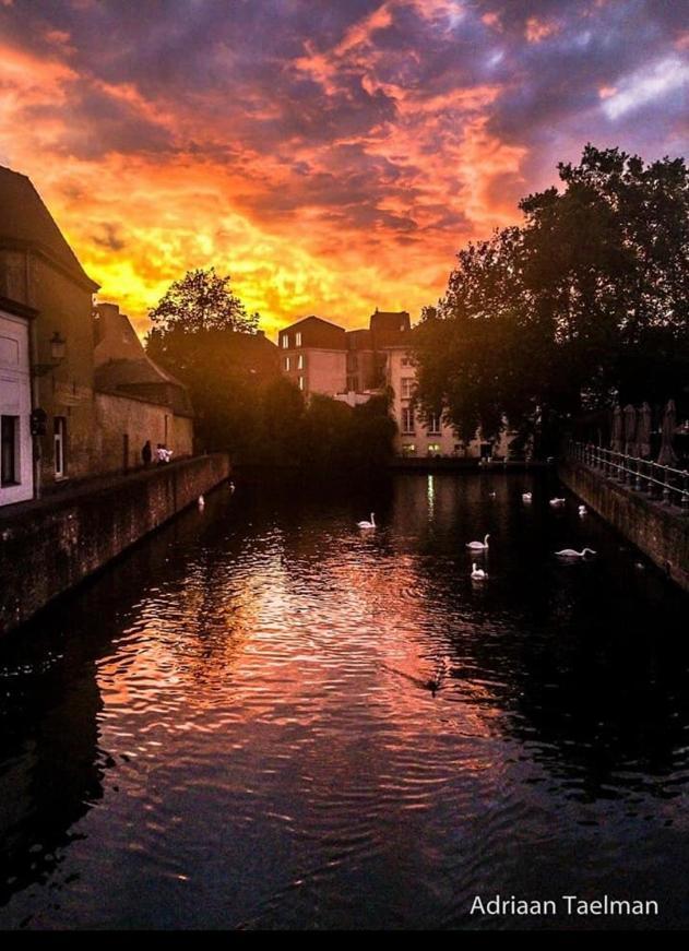 Canal Central ブルージュ エクステリア 写真